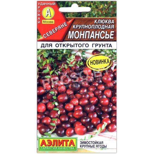 Клюква крупноплодная Монпансье