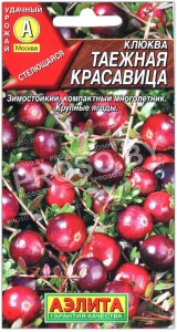 Клюква Таежная красавица