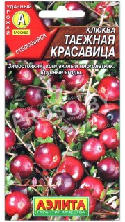 Клюква Таежная красавица
