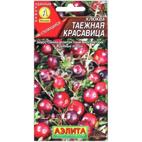 Клюква Таежная красавица
