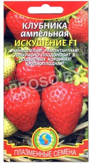 Клубника ампельная Искушение F1