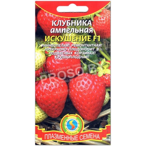 Клубника ампельная Искушение F1