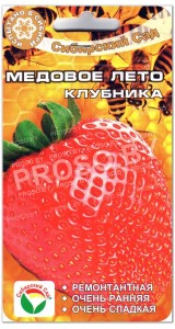 Клубника (земляника) Медовое лето