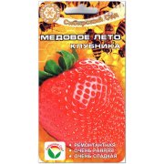 Клубника (земляника) Медовое лето