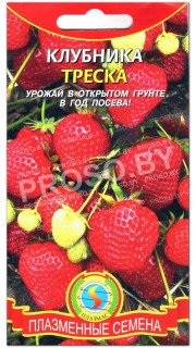 Клубника Треска