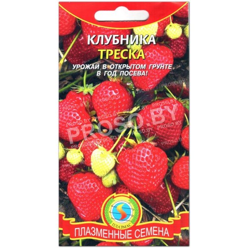 Клубника Треска