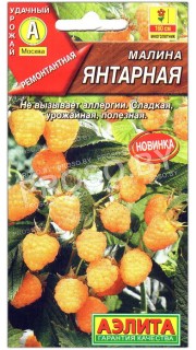 Малина Янтарная
