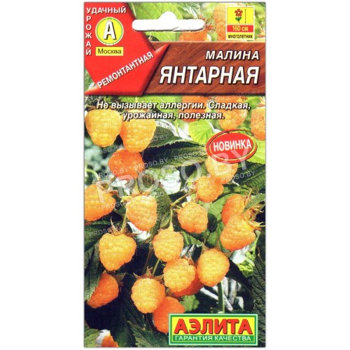 Малина Янтарная