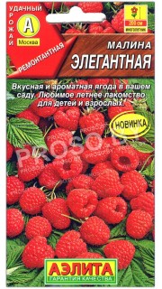 Малина Элегантная