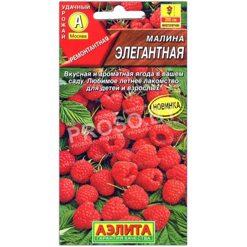 Малина Элегантная