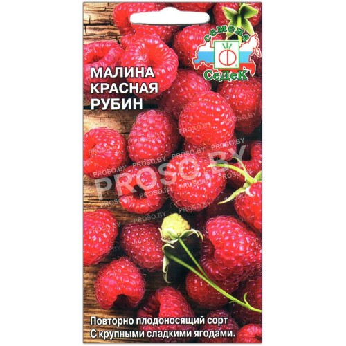 Малина красная Рубин