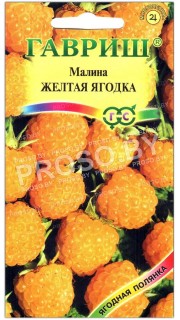 Малина Желтая ягодка