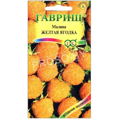 Малина Желтая ягодка
