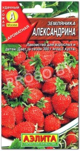 Земляника Александрина