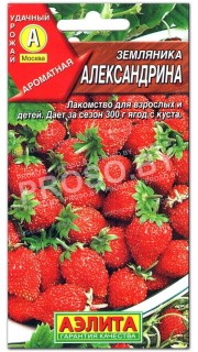 Земляника Александрина