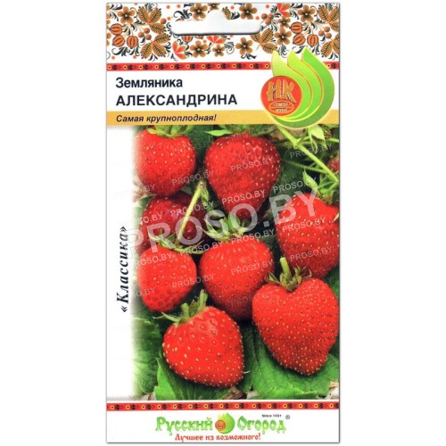 Земляника Александрина-1