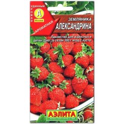 Земляника Александрина Земляника Александрина