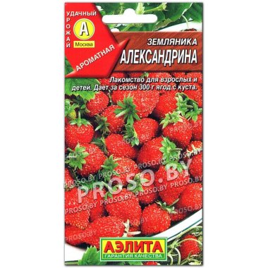 Земляника Александрина