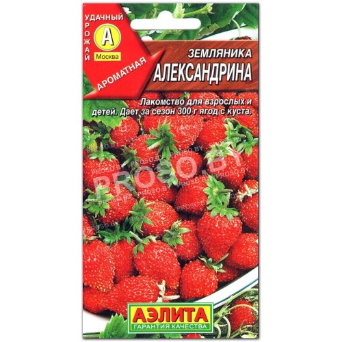 Земляника Александрина