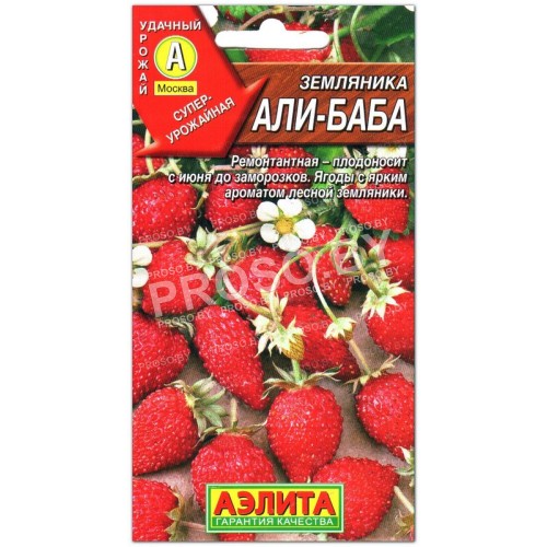 Земляника Али-Баба