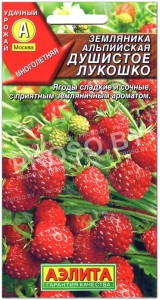 Земляника альпийская Душистое лукошко