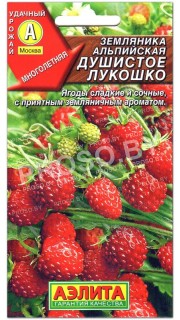 Земляника альпийская Душистое лукошко