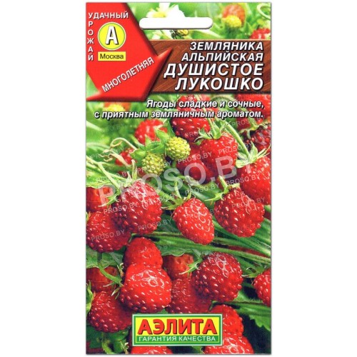 Земляника альпийская Душистое лукошко