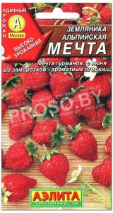 Земляника Мечта