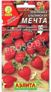 Земляника Мечта