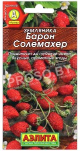 Земляника Барон солемахер