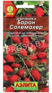 Земляника Барон солемахер