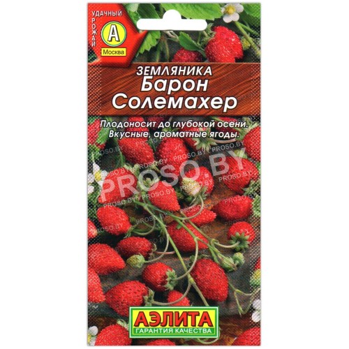Земляника Барон солемахер