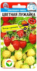 Земляника Цветная лужайка, смесь