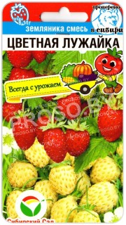 Земляника Цветная лужайка, смесь