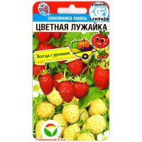Земляника Цветная лужайка, смесь