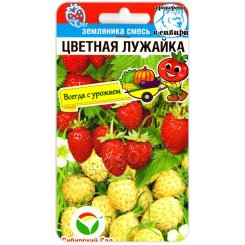Земляника Цветная лужайка, смесь