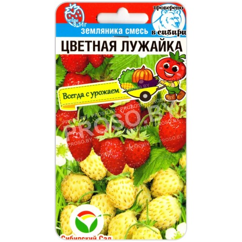 Земляника Цветная лужайка, смесь