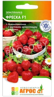 Земляника ремонтантная Фреска F1