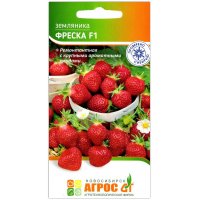 Земляника ремонтантная Фреска F1