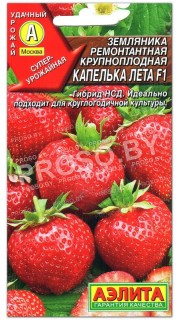 Земляника (клубника) Капелька лета F1