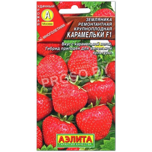 Земляника (клубника) Карамельки F1