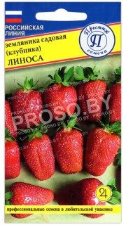 Земляника (клубника) садовая Линоса