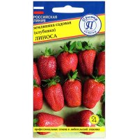 Земляника (клубника) садовая Линоса