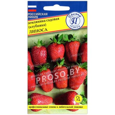 Земляника (клубника) садовая Линоса