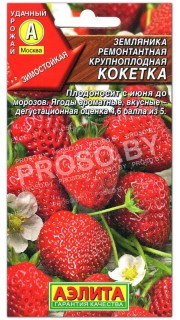 Земляника (клубника) Кокетка