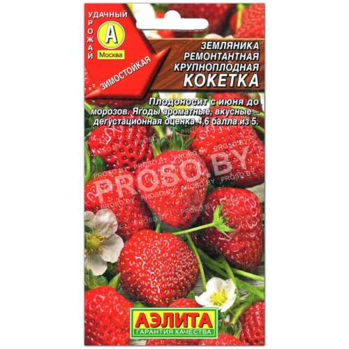 Земляника (клубника) Кокетка