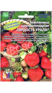 Земляника крупноплодная Гордость урала
