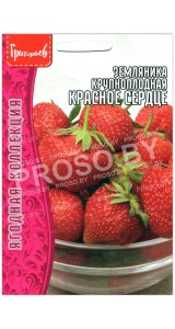 Земляника крупноплодная Красное сердце