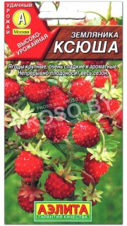 Земляника Ксюша