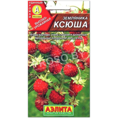 Земляника Ксюша